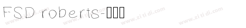 FSD roberts字体转换